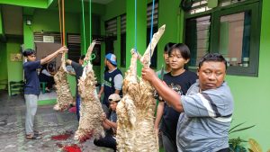 Kegiatan Amalan Qurban